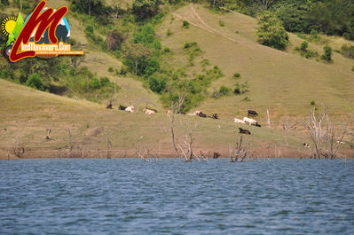 Lago Presa Moncion 
Palabras clave: moncion;casabe;vitico;losmoncionero.com;villa de los pinares;cerro bar