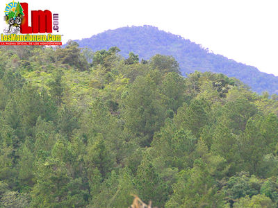 Viaje al Pico Del Gallo Por Los Ramones 7-2-2015
Palabras clave: pico del gallo,moncion,los ramones,losmoncionero.com,moncion,vitico,montaÃ±as,casabe,