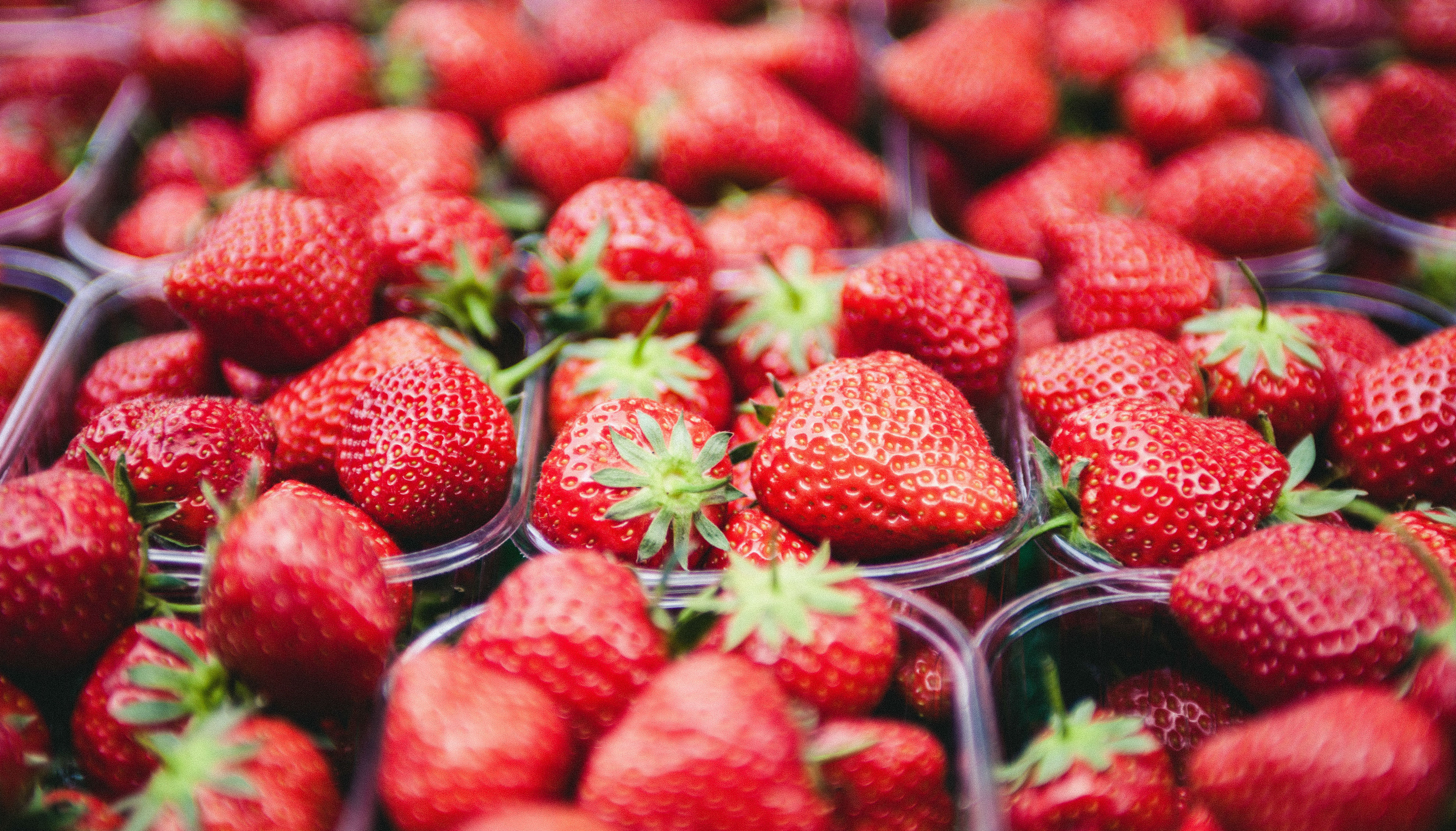 Objetivo Deseo escaldadura Fresas: ¿Cuáles son sus propiedades nutritivas?